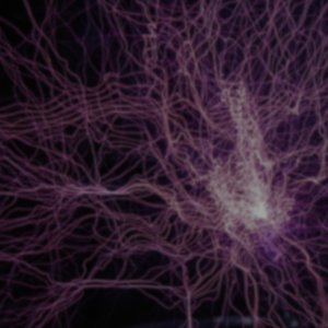 Taller energía escalar Madrid